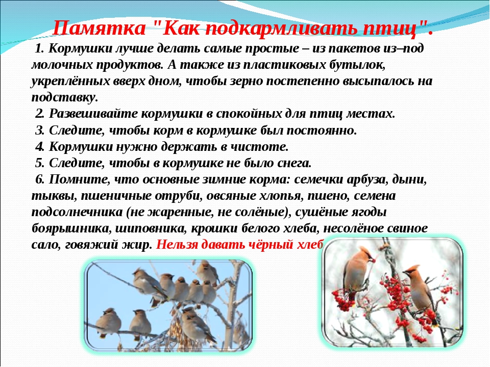 WhatsApp Image 2022 01 25 at 14.03.43 1