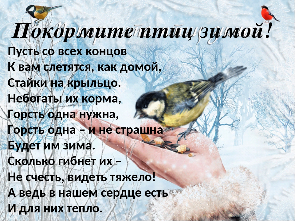 WhatsApp Image 2022 01 25 at 14.03.44